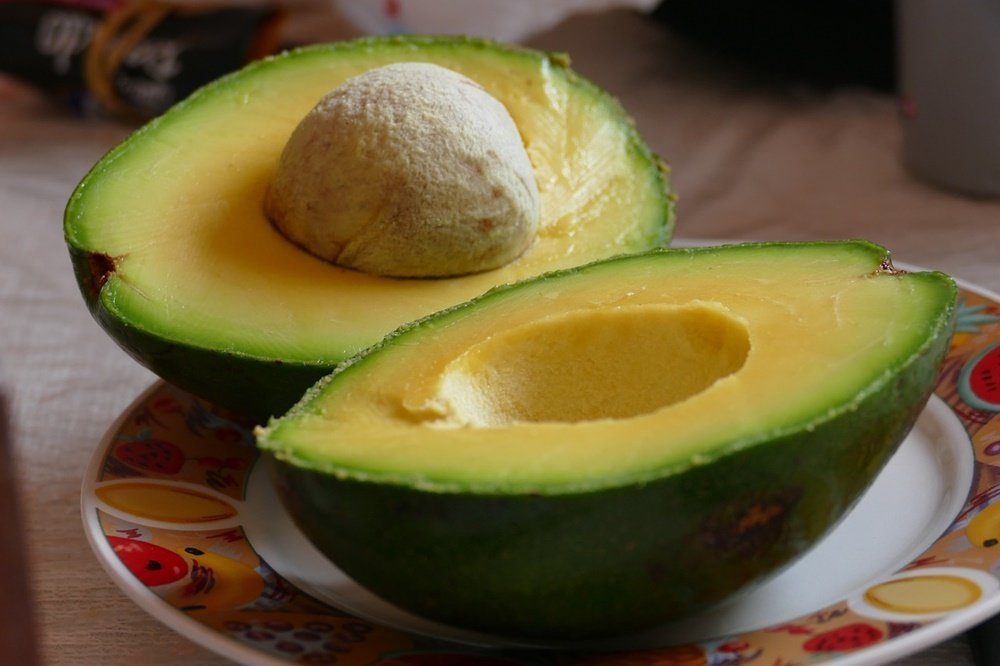 Consumo Desta Fruta no Jantar Ajuda a Perder Peso, Segundo Estudo 4 abacate