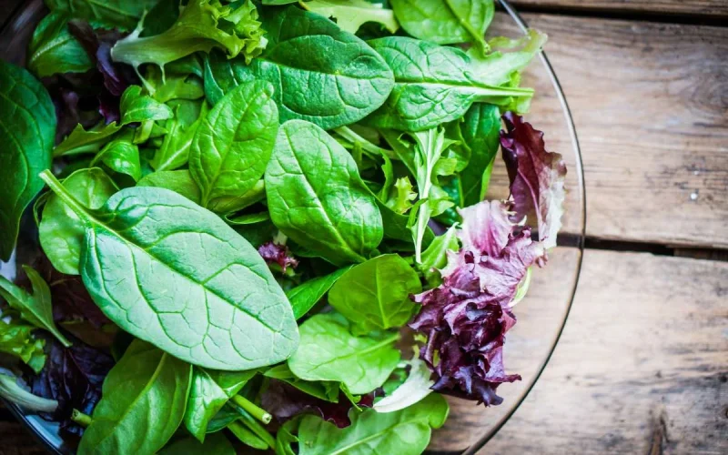 Saciedade com saladas